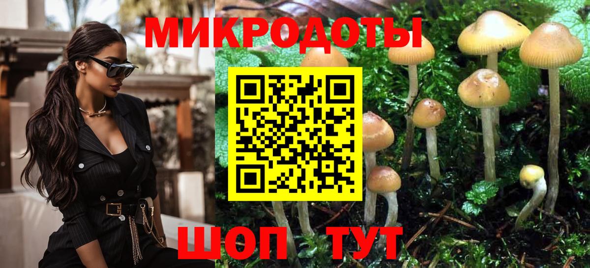 Краснодар  Псилоцибиновые грибы ЛСД  Вход с VPN  Псилоцибиновые грибы Psilocybine cubensis 