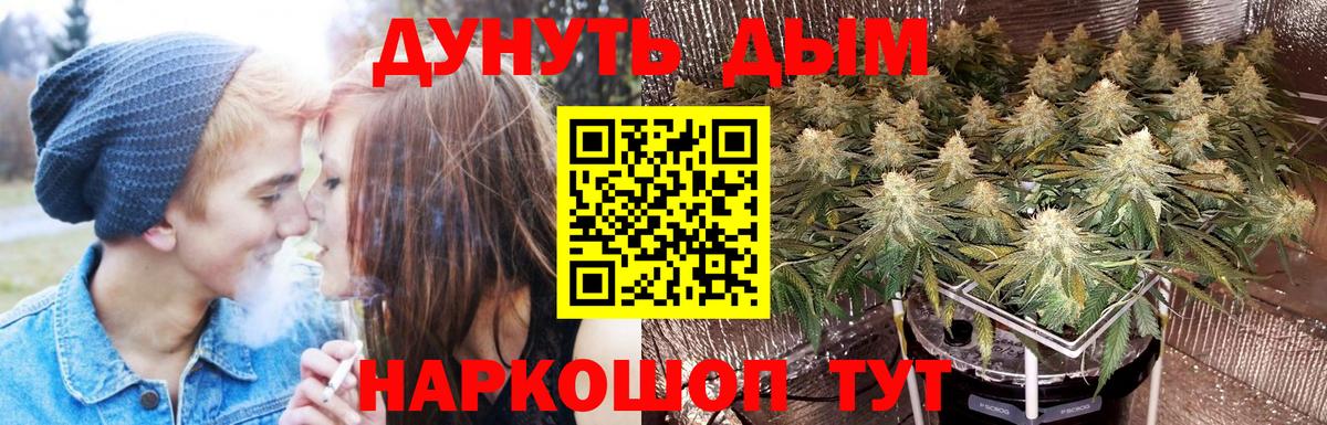 Марихуана Bruce Banner Краснодар